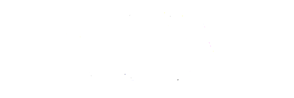 XINSA logo-2